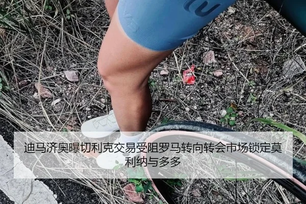迪马济奥曝切利克交易受阻罗马转向转会市场锁定莫利纳与多多